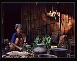 Pangwala Tribe Culture in India