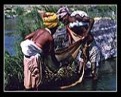 Pangwala Tribe Culture in India