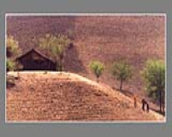 Lahaulas Tribe Culture in India