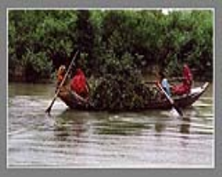 Lahaulas Tribe Culture in India