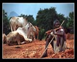 Siddi Tribe Culture in India