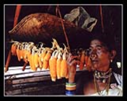 Siddi Tribe Culture in India
