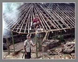 Warli Tribe Culture in India
