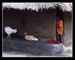 Warli Tribe Culture in India