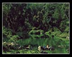 Warli Tribe Culture in India