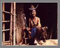 Warli Tribe Culture in India