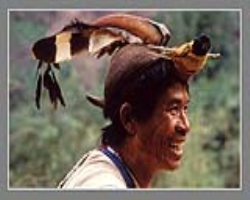 Warli Tribe Culture in India