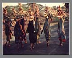 Warli Tribe Culture in India