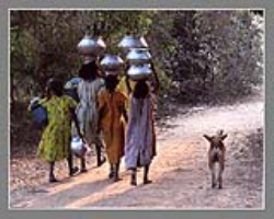 Rathwas Tribe Culture in India