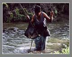 Rathwas Tribe Culture in India