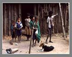 Barda Tribe Culture in India