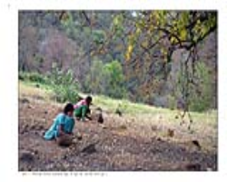 Barda Tribe Culture in India