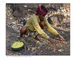 Barda Tribe Culture in India