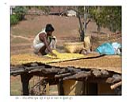 Naikda Tribe Culture in India