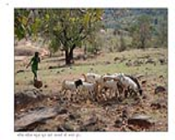 Eravallan Tribe Culture in India