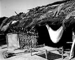 Eravallan Tribe Culture in India