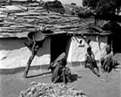 Eravallan Tribe Culture in India