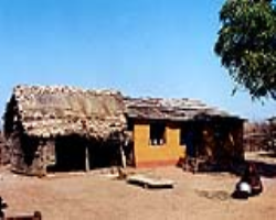 Aranadan Tribe Culture in India