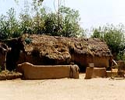 Aranadan Tribe Culture in India