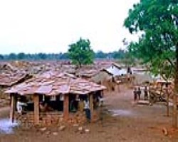 Aranadan Tribe Culture in India