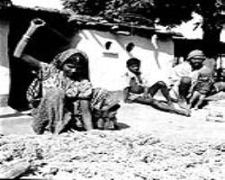 Kanikar Tribe Tribe Culture in India