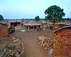 Kanikar Tribe Tribe Culture in India