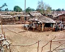 Kanikar Tribe Tribe Culture in India