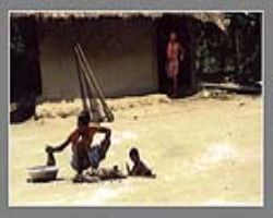 Bamcha Tribe Culture in India