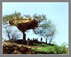 Bamcha Tribe Culture in India 