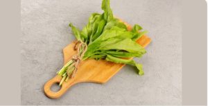 Indigenous Foraging and Wild Plant Medicine Guides