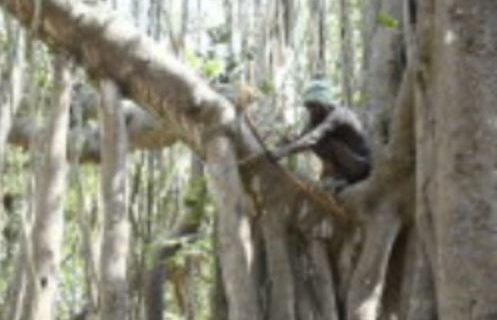 Why Isolated Tribes in India Refuse Contact from the Outside World