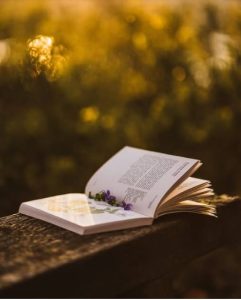 Indigenous Foraging and Wild Plant Medicine Guides