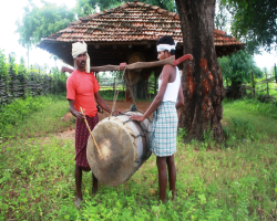Indigenous food sovereignty and three sisters farming