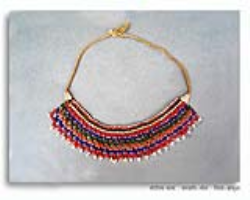 Galong Tribe Culture in India