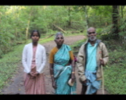 Indian Tribal farming industry insider analysis