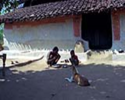 Mishmi Tribe Culture in India