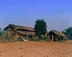 Tribal Architecture & Sustainable Building