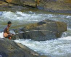Indian Tribal farming industry insider analysis