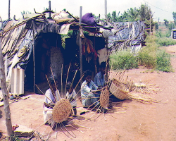 Goudu Tribe
