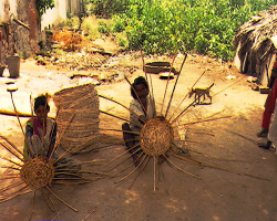 Kolawar Tribe