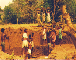 Kolawar Tribe