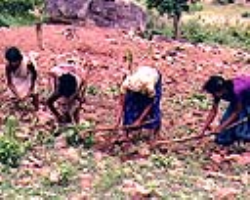 Tribal Parents' Concern About Their Children's Future