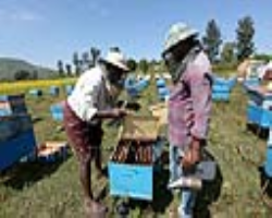 Tribal Parents' Concern About Their Children's Future