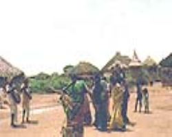 Konda Dora Tribe Culture in India