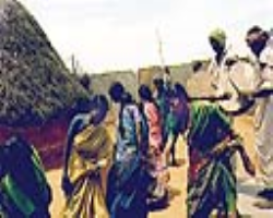 Kolam Tribe Culture in India