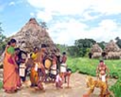Kolam Tribe Culture in India