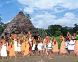 Kolam Tribe Culture in India