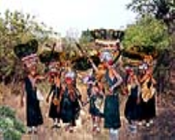 Kattunayakan Tribe Culture in India