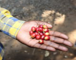 Eco-tourism Through Tribal Villages in India