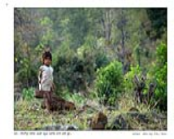 Kammara Tribe Culture in India
